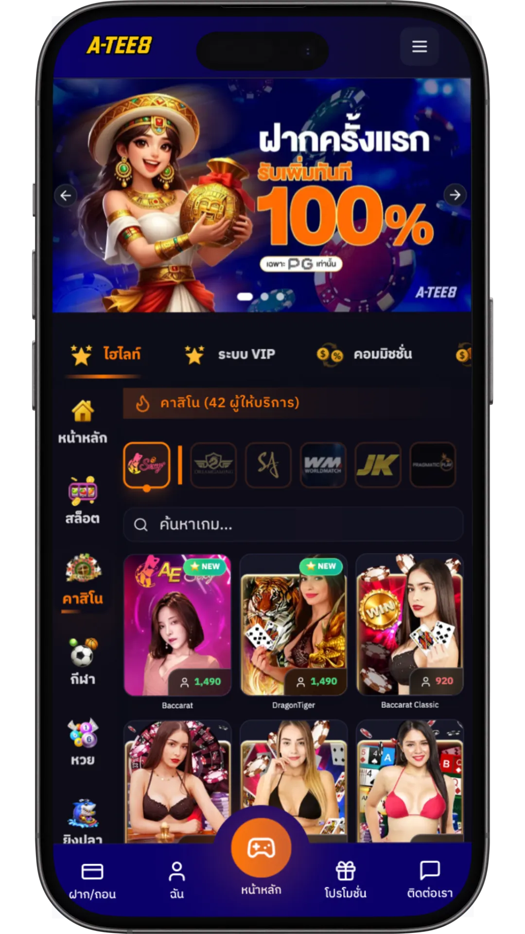 ธีมพรีเมียม